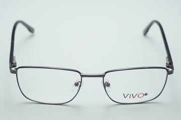 VIVO 31058 C1