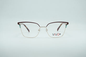 VIVO LS3219 C3