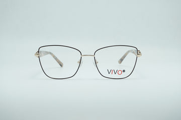 VIVO LS3210 C2