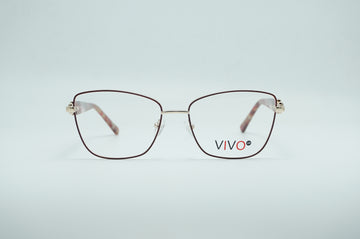 VIVO LS3210 C3